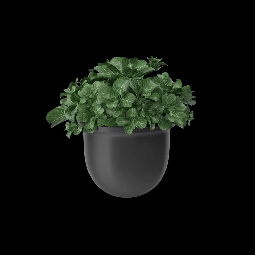 Ceramic Plant Pot