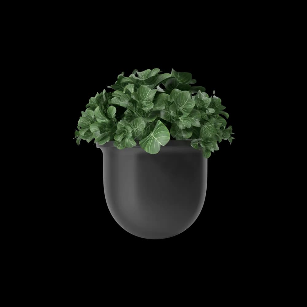 Ceramic Plant Pot