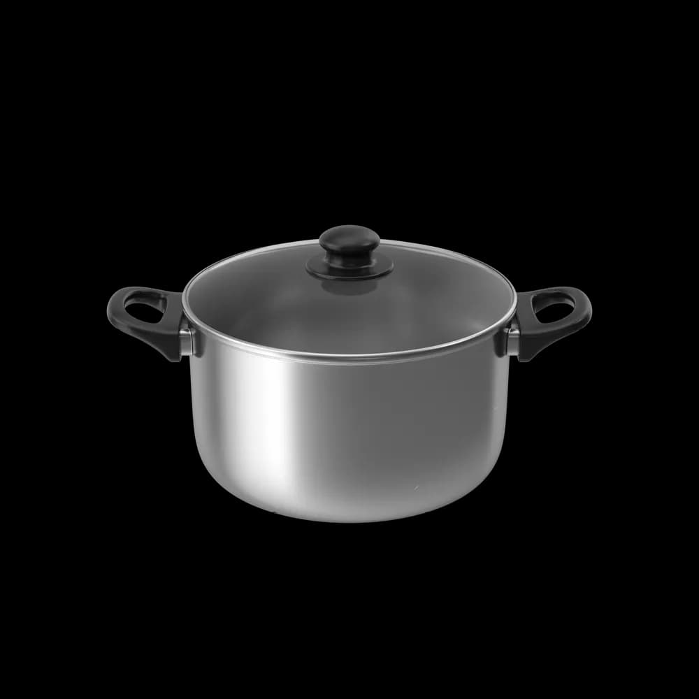 Stainless Steel Cookware Pot